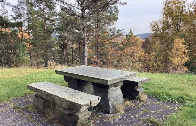 Peaceful Forest Cabin in Dalsland - Photo 12