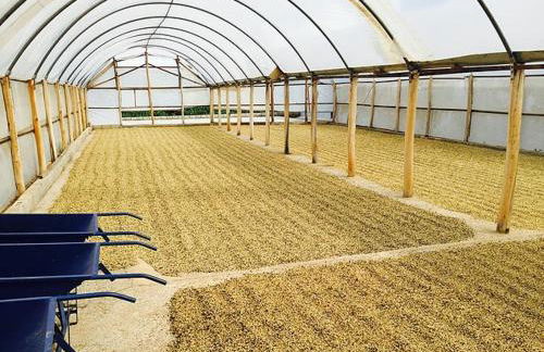 Hotel Fazenda Menino da Porteira - Foto 39