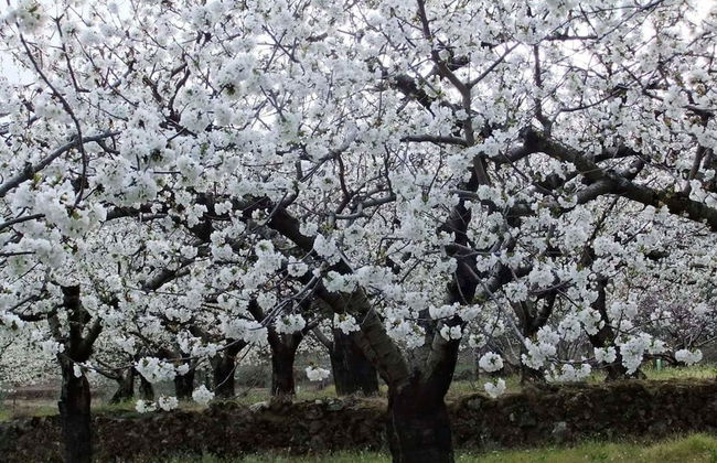 Aguas del Venero - Photo 44