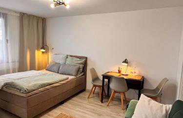 Centrally located 1 room apartment in Ulm with Ulmer Münster view - Foto 3
