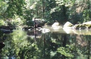 Moulin de Record - Foto 16