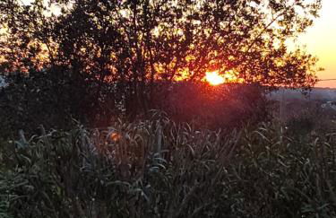 Appartamento Puccini - Foto 16