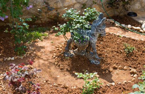 Apartmani Željka - Foto 50