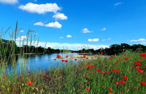 LARBRENVILLE Gîtes citadins en centre-ville historique - Foto 9