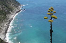 Casa a picco sul mare 5 terre - Foto 38