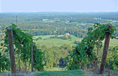 Villa Maud - Foto 36