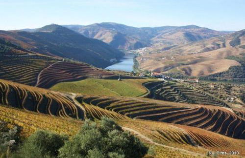 Douro House - Foto 29