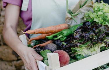 Can Serrà 1786 - Photo 51