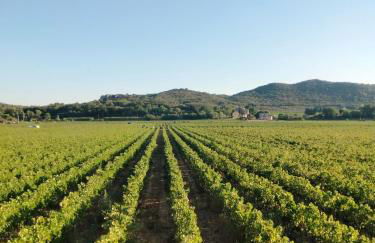 A l Aube du Midi - Foto 39