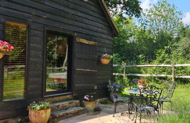 Gatwick hideout - Foto 10