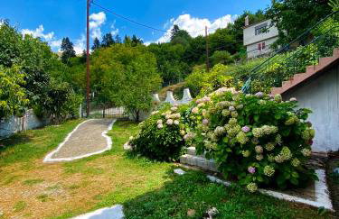 Σπίτι στα Έλατα - Foto 16