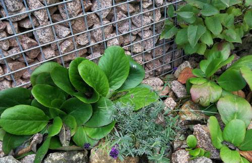 Ferien in der alten Scheune - Foto 34