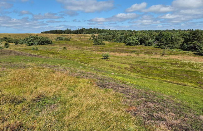 14 Person Holiday Home in Vejby - Foto 15