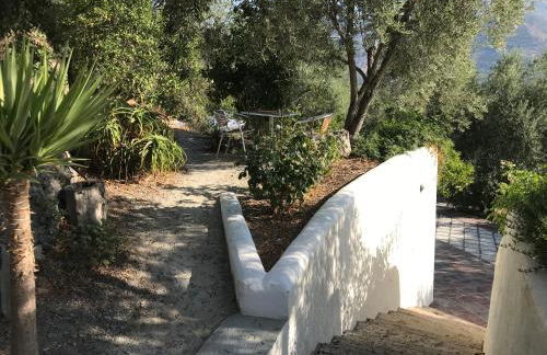 Jardin Andaluz Appart Alhambra - Foto 19