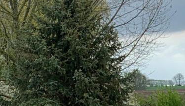 505 Heuboden - Foto 3