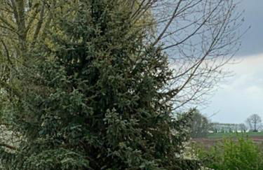 505 Heuboden - Foto 3