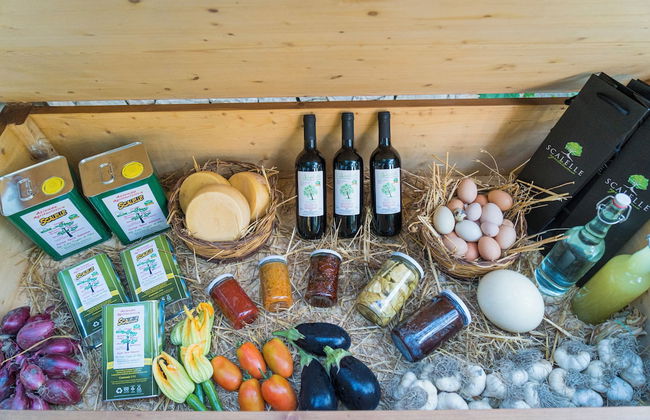 AGRITURISMO SCALELLE - Foto 68