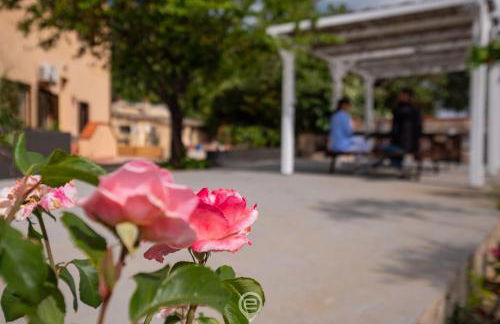 Podere 100 Country House - Apartment Aria - Foto 35