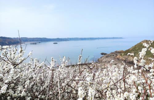 La clé des falaises Meublé de tourisme 3 étoiles avec petite vue mer et au bord du GR 34 - Foto 46