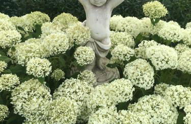 Eifel-Moezelhuis - Foto 37