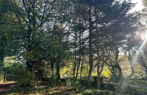 The Artists Studio - Foto 19