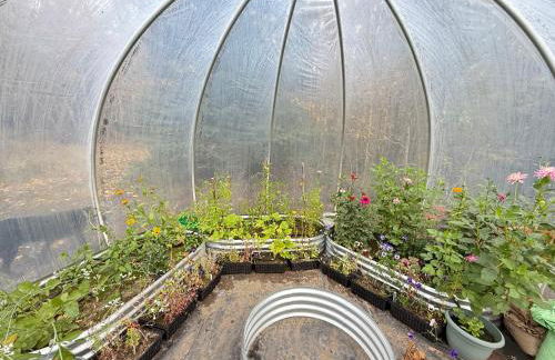 Knik Wilderness Getaway - Foto 31