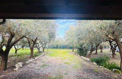 La Perla di Dea - Foto 25