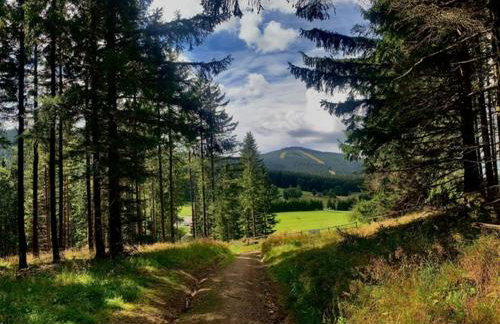 Apartament Salamandra Uno - Foto 16