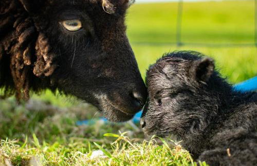 3 Bed in Whitwell oc-h33498 - Foto 27