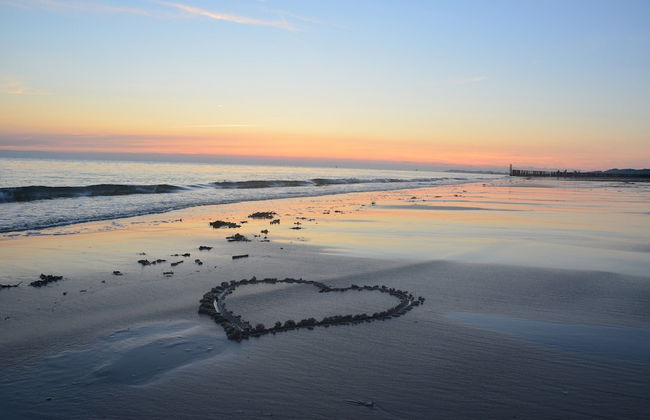 Luxury Apartment With Sauna the Foot of the Dunes - Photo 75