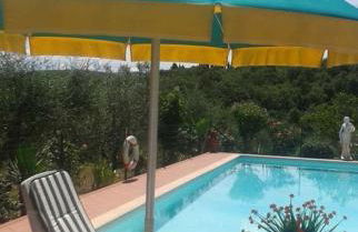 La Vecchia Quercia - Foto 7