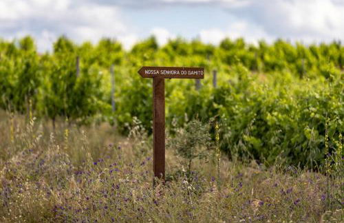 Herdade do Gamito - Foto 42