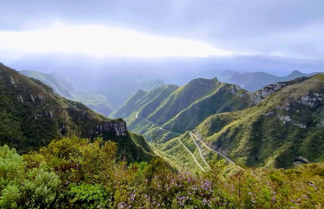 Excursion dans la Serra do Rio do Rastro - Photo 6