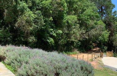 Chalé do Portal - Foto 24