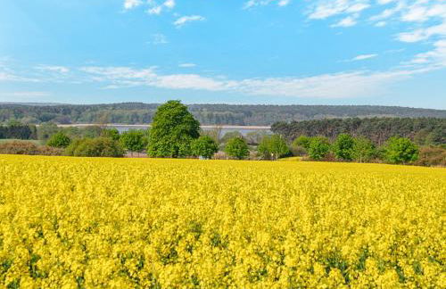 Fewo Wolff - Foto 18