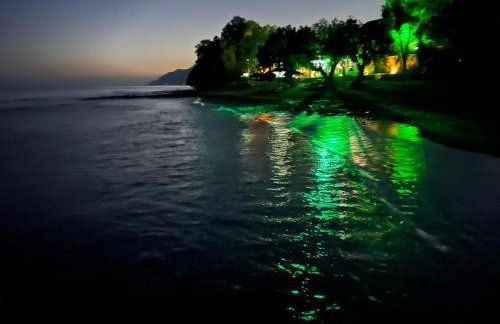 Nikkon Luxury Living - Foto 34