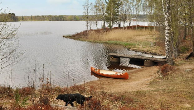 6 Person Holiday Home in Orkelljunga - Photo 5