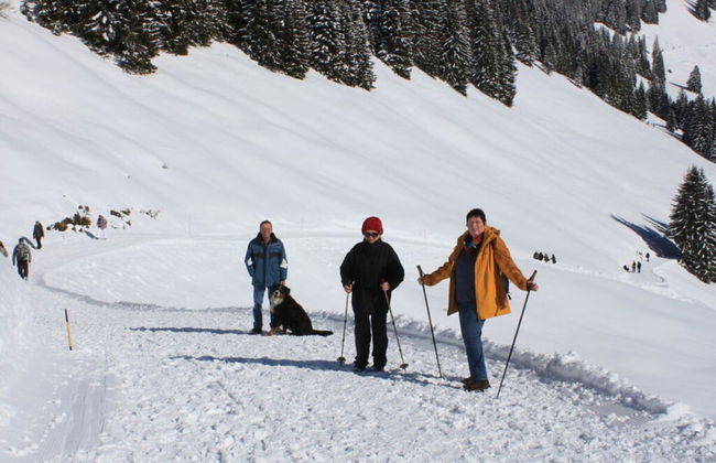 Kreuzwiesen Comfortable Holiday Residence - Foto 9