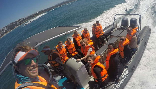 Disfrutando de la actividad en Plettenberg Bay