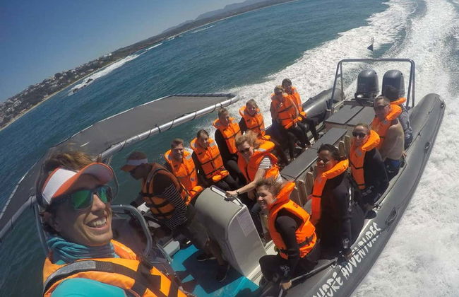 Nado con leones marinos en Plettenberg Bay - Foto 4