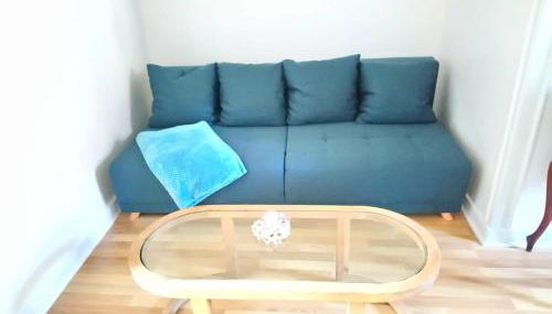 GITE LE SAINT-AMOUR - Foto 4