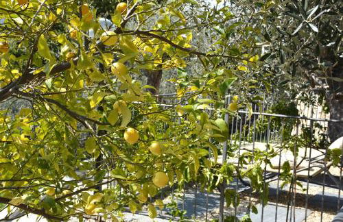 La Torretta - Foto 39