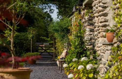 Glanrhyd cottage - Foto 37