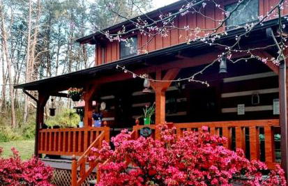 Tranquil Cabin with Hot Tub & Creek Views Near Bass Pro, Kodak Tennessee - Foto 8