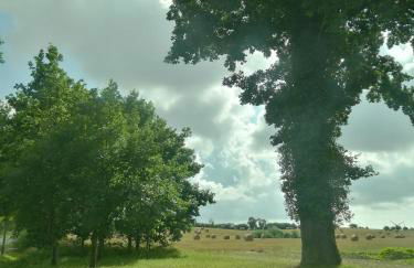 Alte Stellmacherei - Ferienwohnung 2 - Foto 22