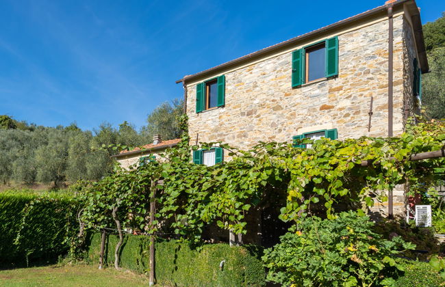 I Ciasi (VSP200) - Foto 15