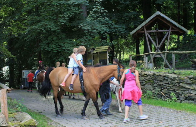 Holiday Apartment "pohlberg" - Foto 18