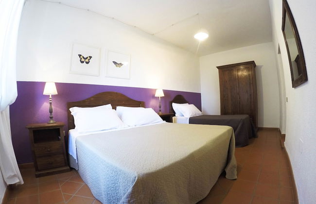 Boschi di Montecalvi - Foto 3