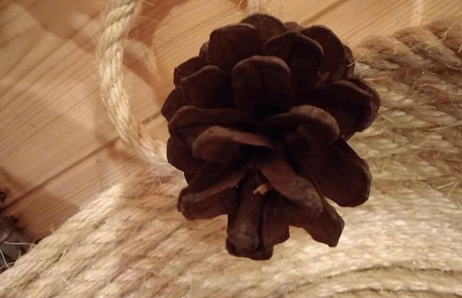 Kedra Village - Foto 26