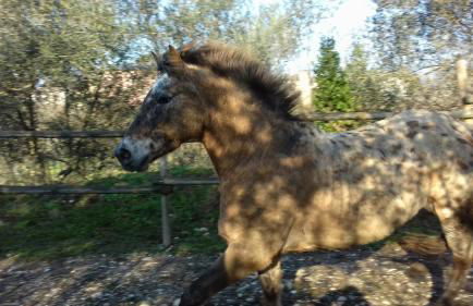 AGRITURISMO Casa Riz - Foto 19